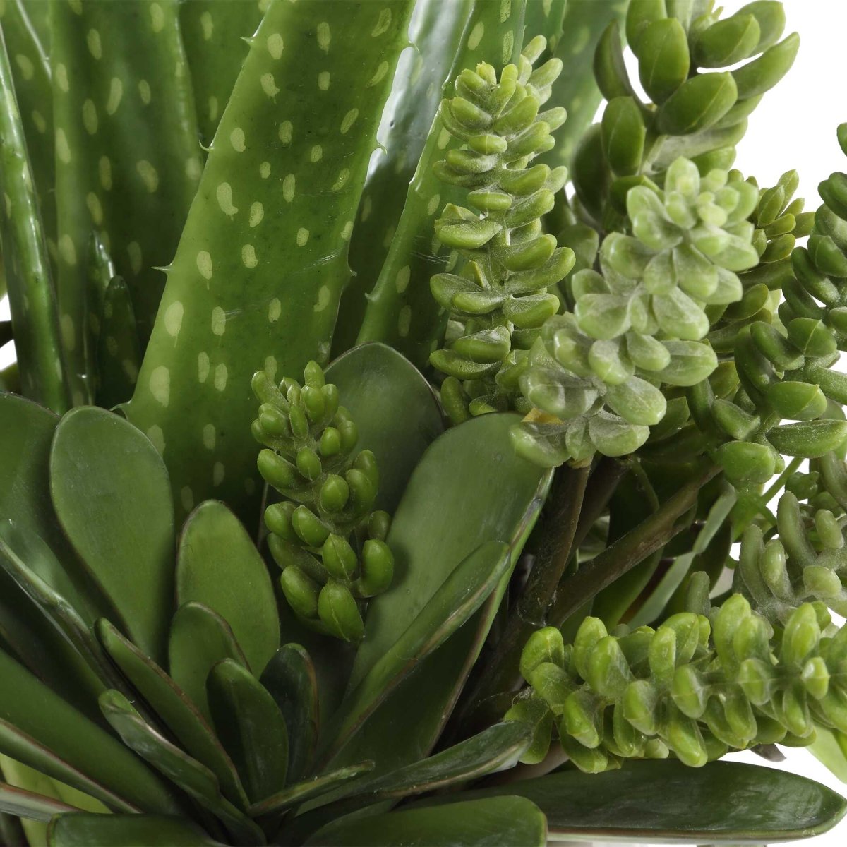 Sundown Succulent Accent Planter - Uttermost - Planter by Modest Hut