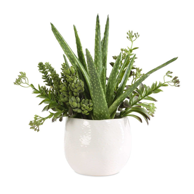 Sundown Succulent Accent Planter - Uttermost - Planter by Modest Hut