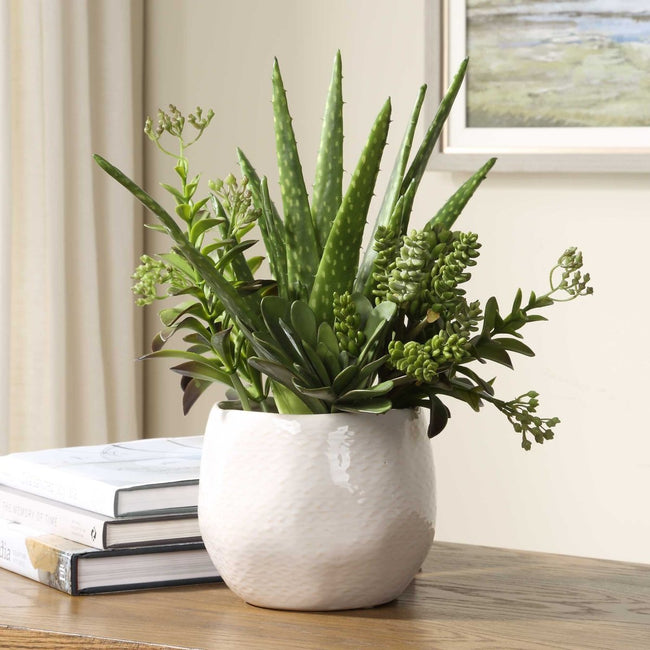 Sundown Succulent Accent Planter - Uttermost - Planter by Modest Hut