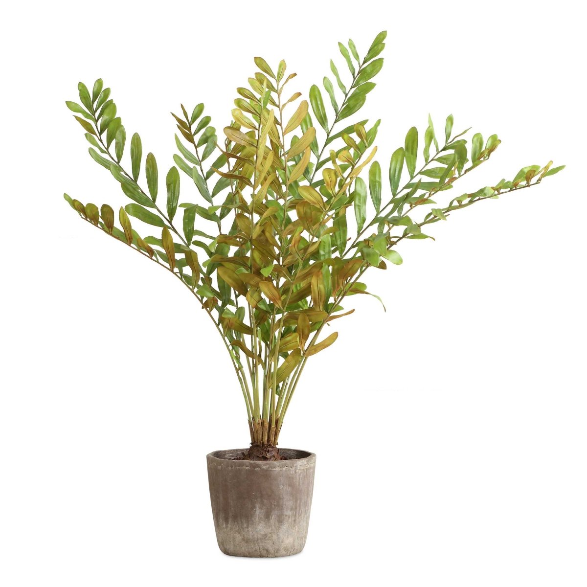 Zamia Palm Accent In Planter - Uttermost - Planter by Modest Hut