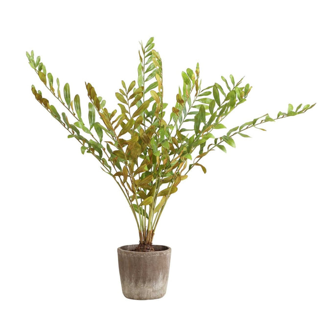 Zamia Palm Accent In Planter - Uttermost - Planter by Modest Hut