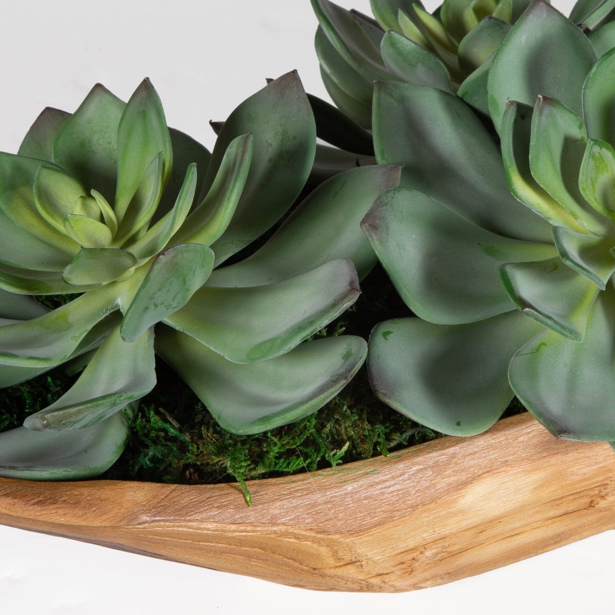 Yuma Succulent Centerpiece - Uttermost - by Modest Hut