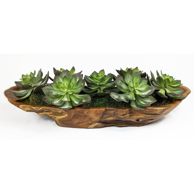 Yuma Succulent Centerpiece - Uttermost - by Modest Hut