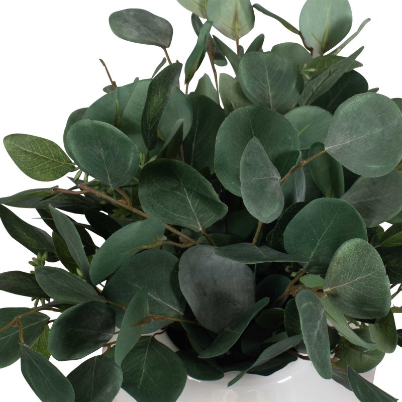 Essence Eucalyptus Accent & Vase - Vases