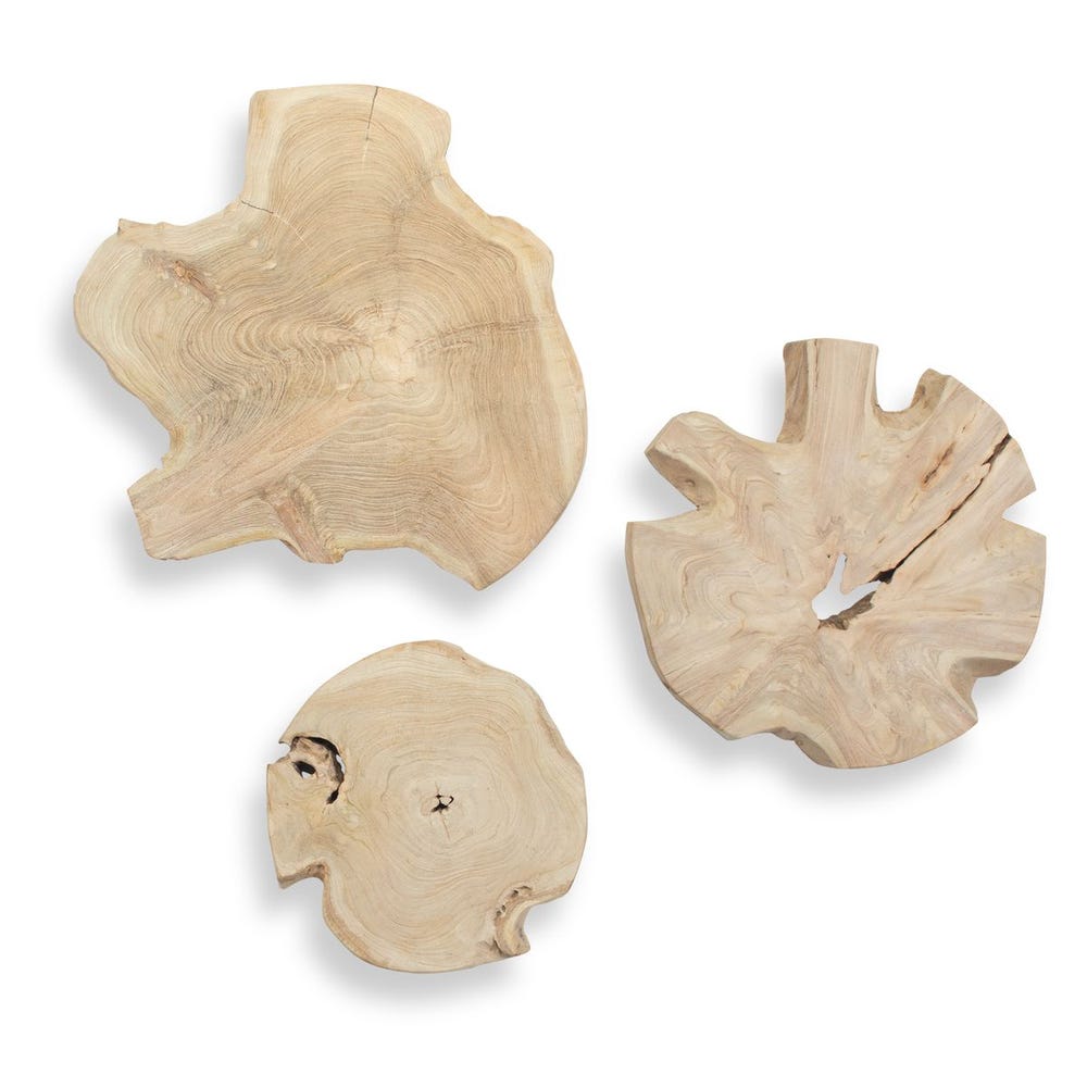 Kalani Outdoor Wall Decor, Bleached, S/3 - Uttermost - Wall Decor by Modest Hut