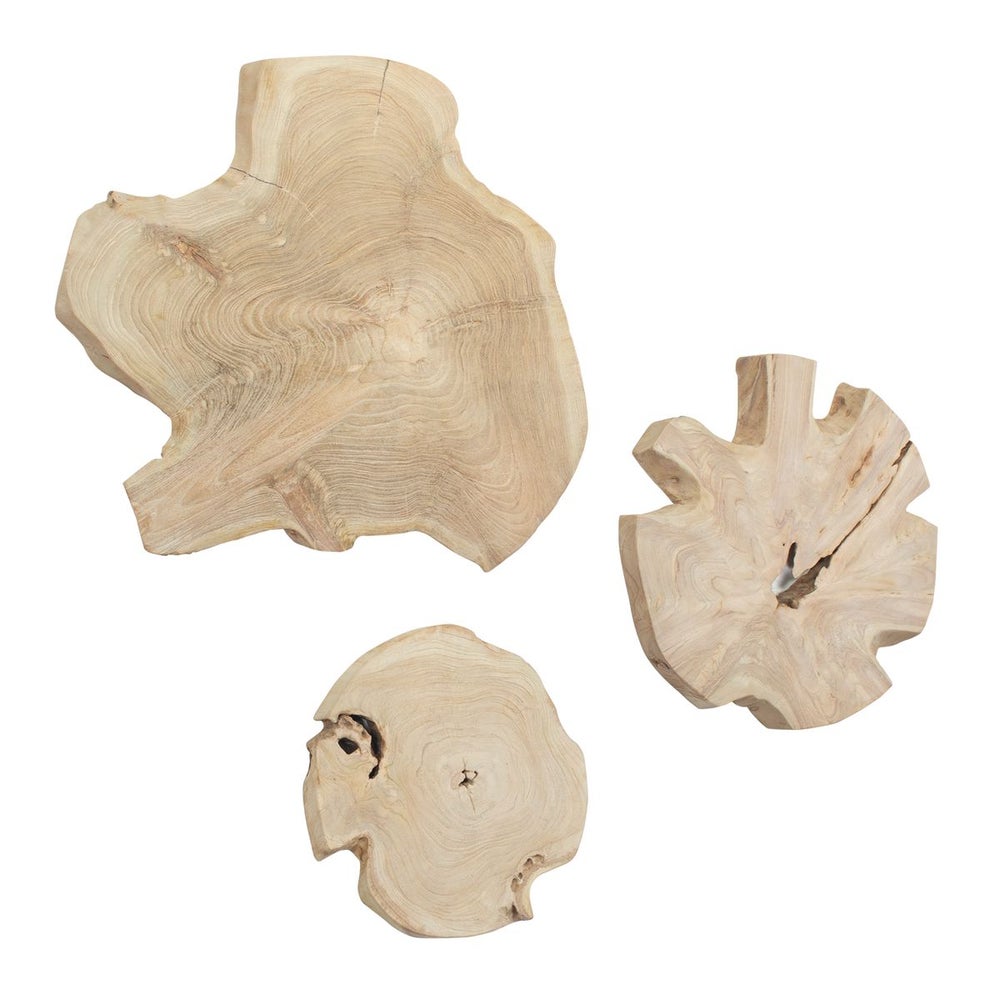 Kalani Outdoor Wall Decor, Bleached, S/3 - Uttermost - Wall Decor by Modest Hut