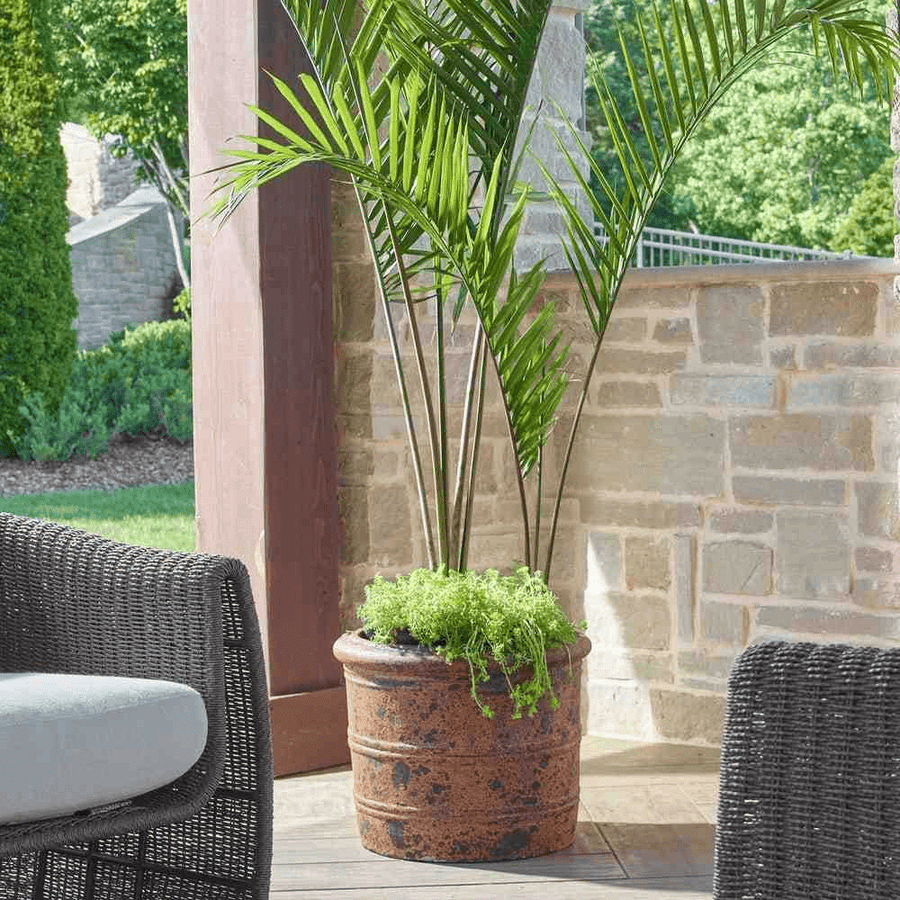Outdoor Planters & Flora