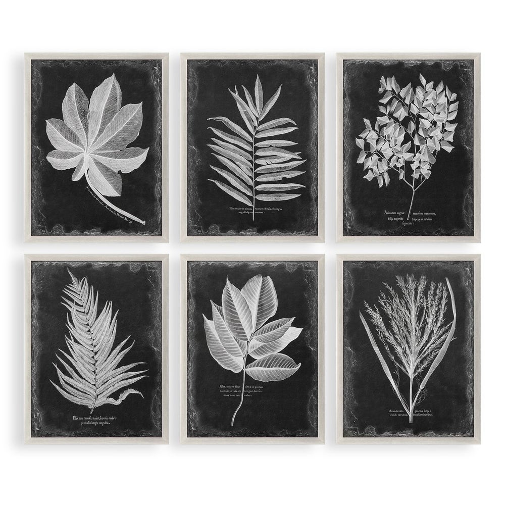 Foliage Framed Prints, Set/6
