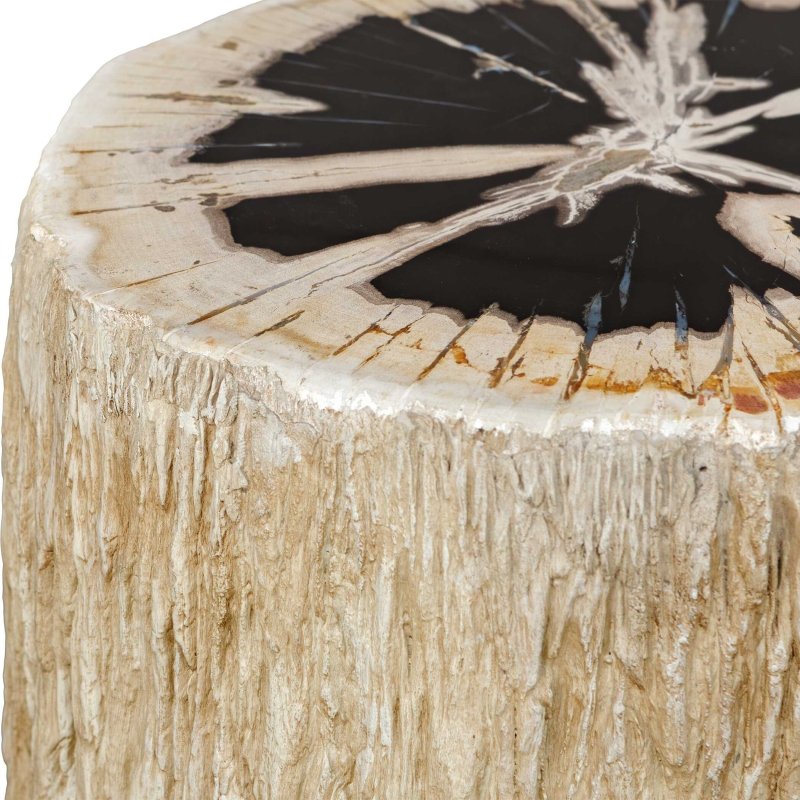 Arco Petrified Wood Top Accent Table - Accent Tables