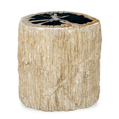 Arco Petrified Wood Top Accent Table - Accent Tables