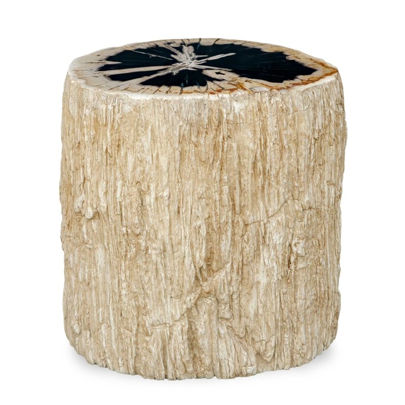 Arco Petrified Wood Top Accent Table - Accent Tables