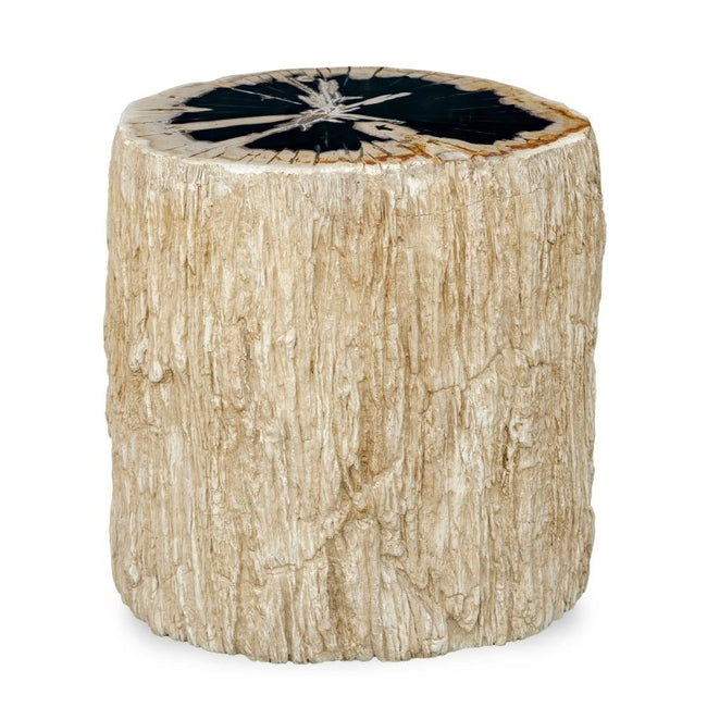 Arco Petrified Wood Top Accent Table - Accent Tables