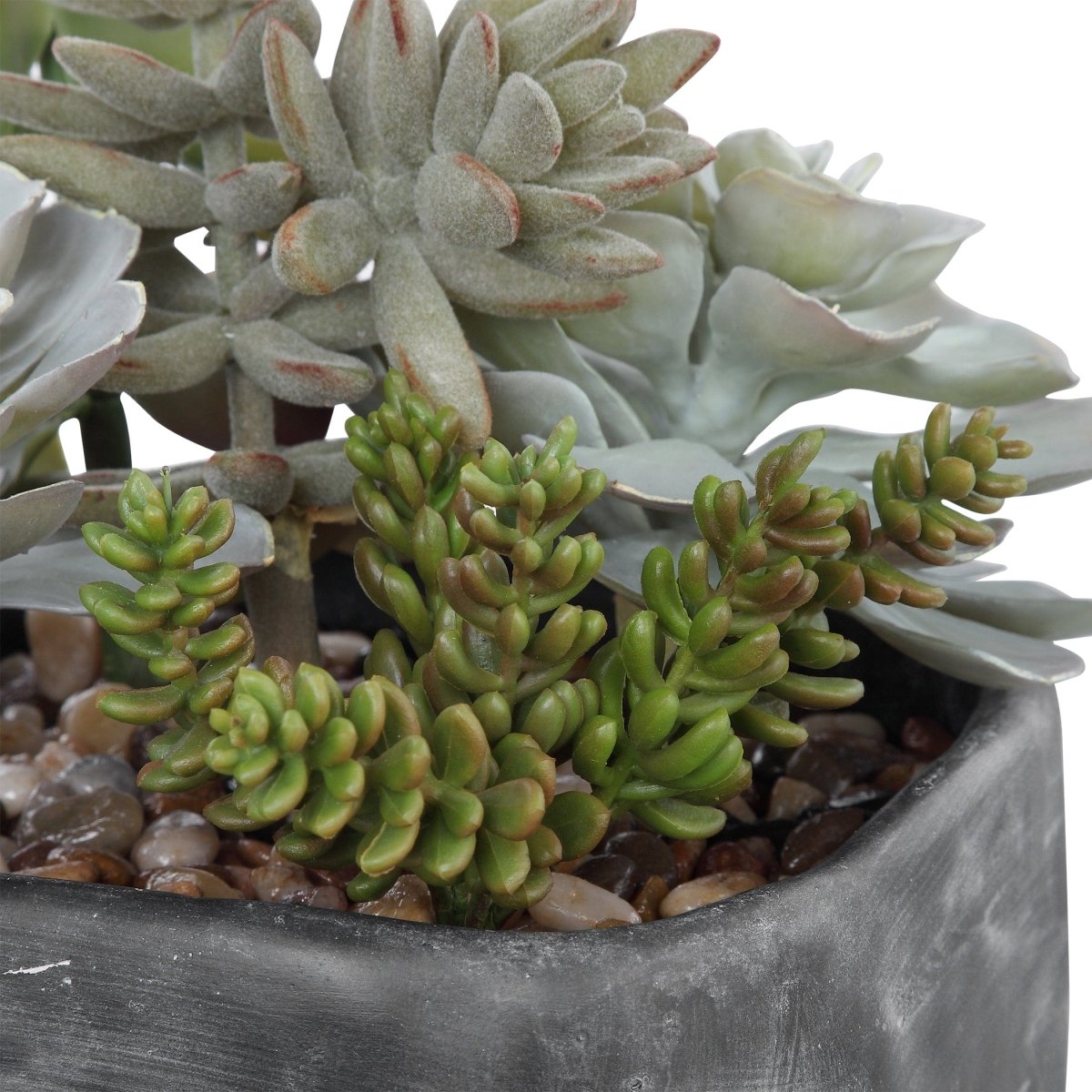 Alverio Desert Garden Succulents - Uttermost - Artificial Flora by Modest Hut