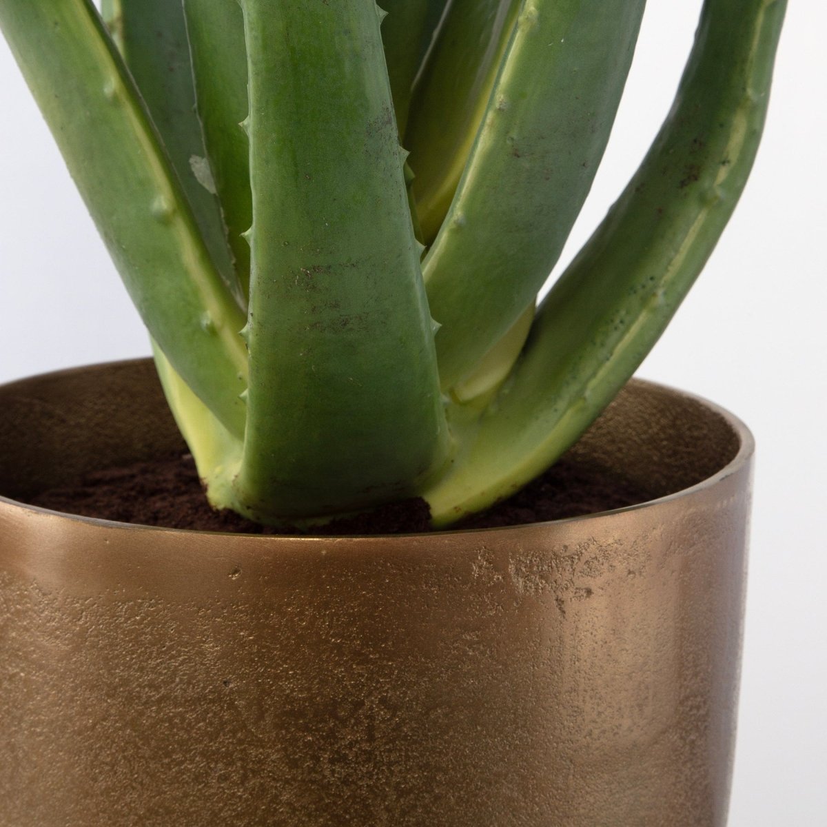 Arabia Aloe Planter - Uttermost - Artificial Flora by Modest Hut