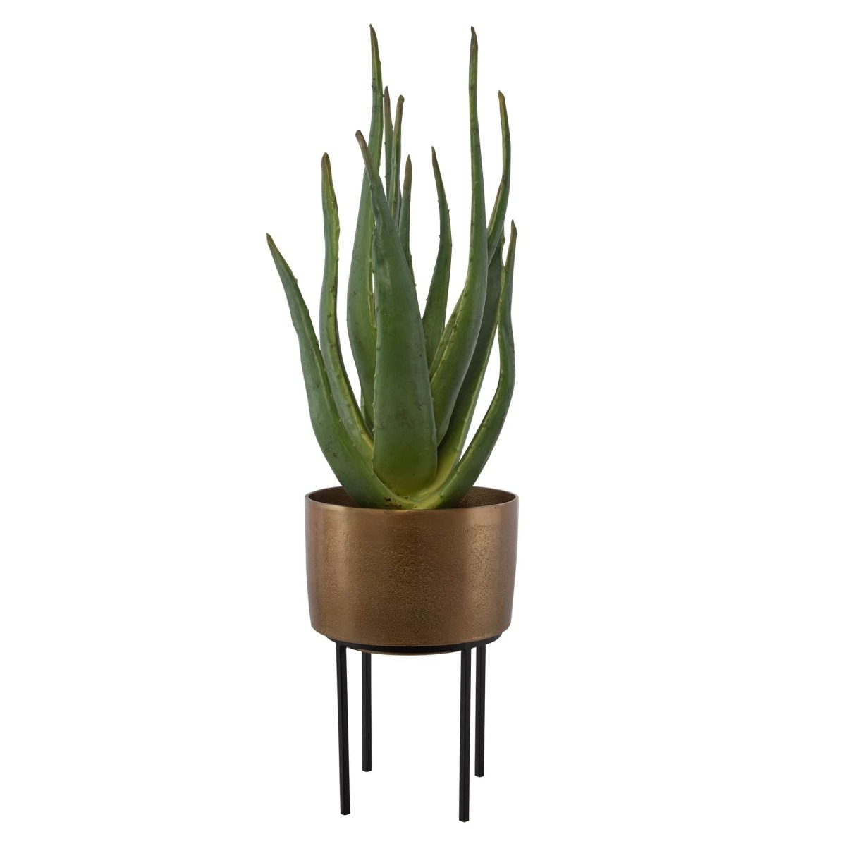 Arabia Aloe Planter - Uttermost - Artificial Flora by Modest Hut