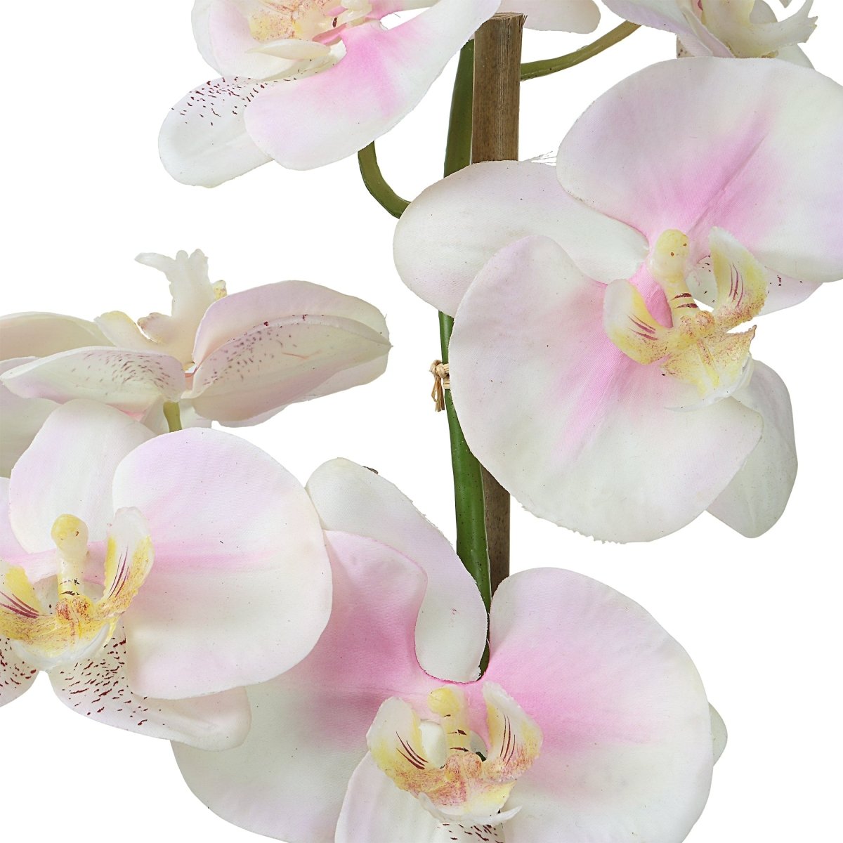 Blush Pink And White Orchid - Uttermost - Artificial Flora by Modest Hut