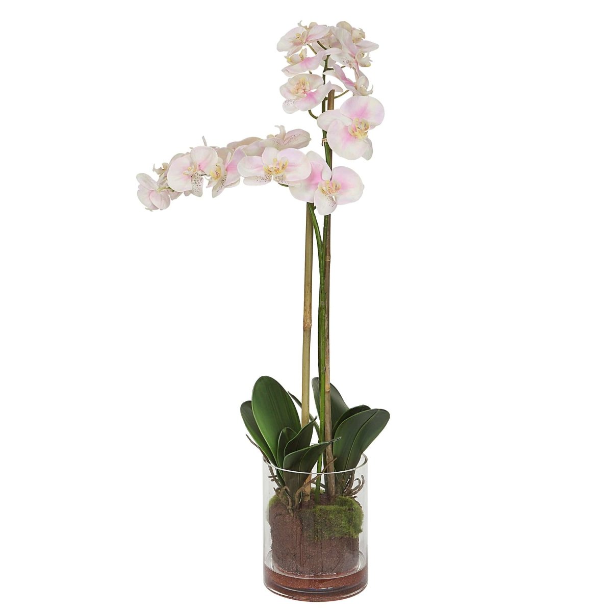 Blush Pink And White Orchid - Uttermost - Artificial Flora by Modest Hut