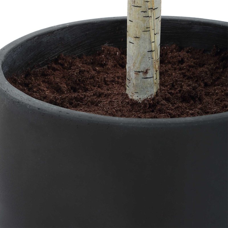 Boreal Potted Birch Tree - Artificial Flora