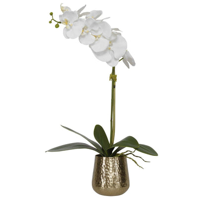 Cami Orchid With Brass Pot - Uttermost - Artificial Flora by Modest Hut