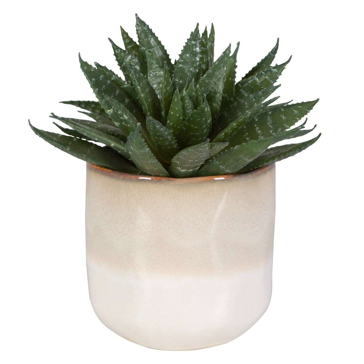 Doha Succulent Accent - Uttermost - Artificial Flora by Modest Hut