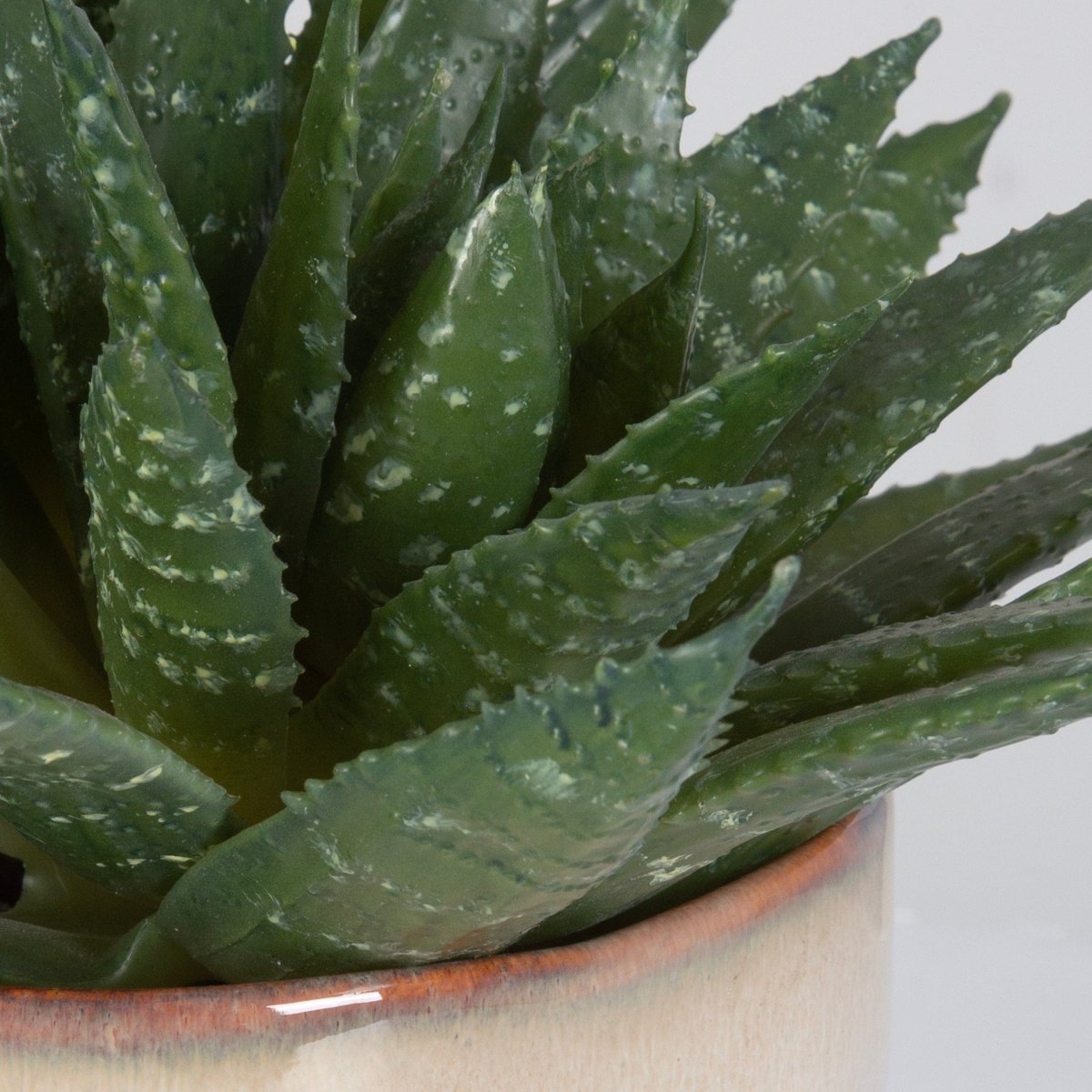 Doha Succulent Accent - Uttermost - Artificial Flora by Modest Hut