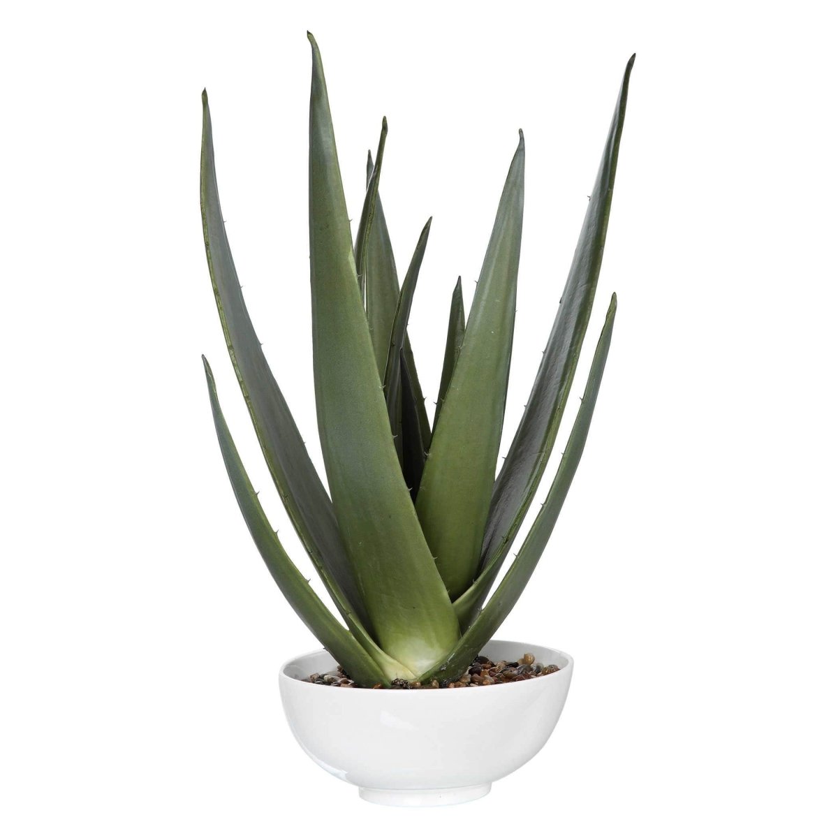 Evarado Aloe Planter - Uttermost - Artificial Flora by Modest Hut