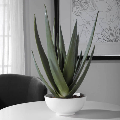 Evarado Aloe Planter - Uttermost - Artificial Flora by Modest Hut