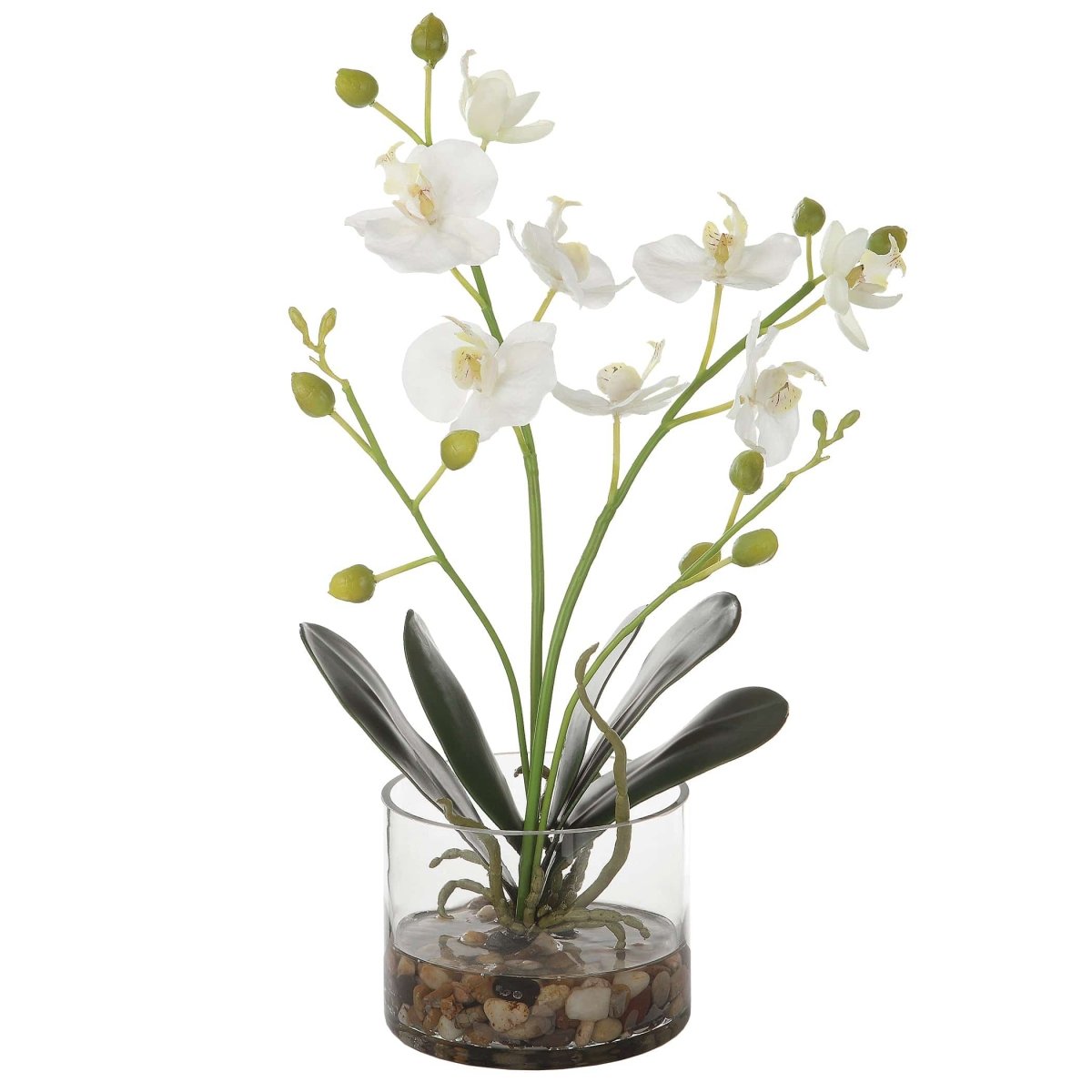 Glory Orchid - Uttermost - Artificial Flora by Modest Hut