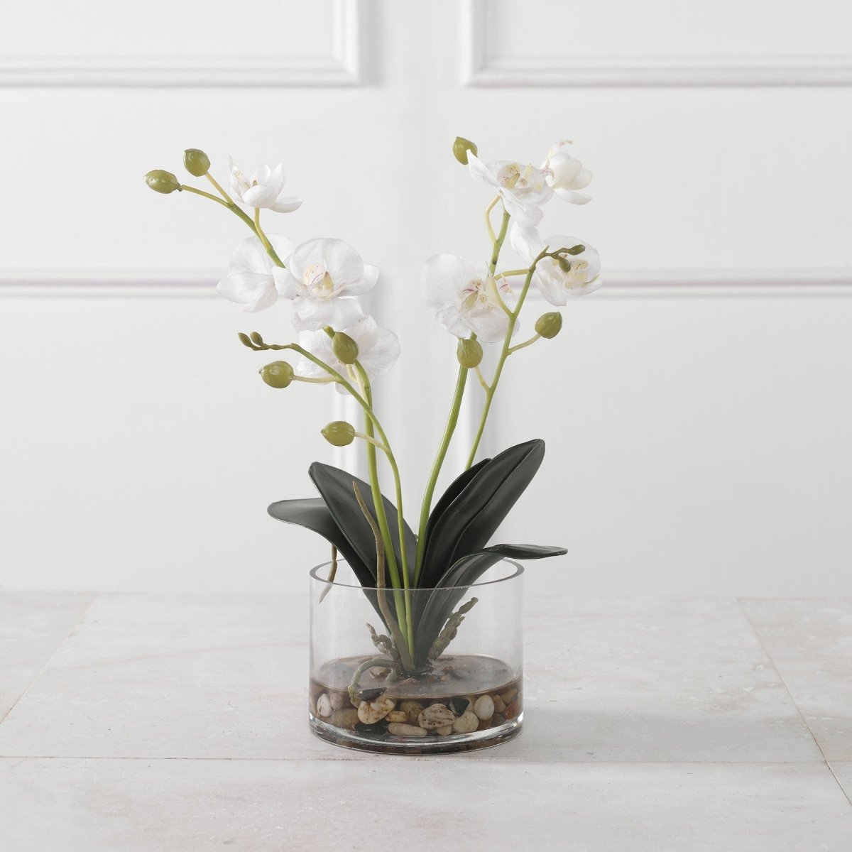 Glory Orchid - Uttermost - Artificial Flora by Modest Hut