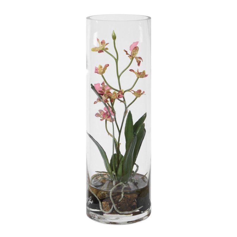 Detail view of the Mariposa Orchid Pink