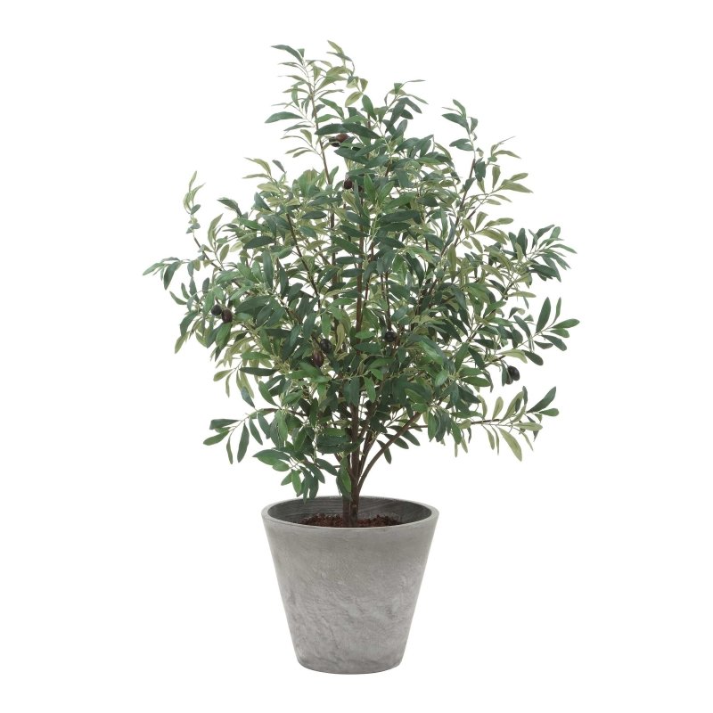 Marisol Potted Olive Plant - Artificial Flora