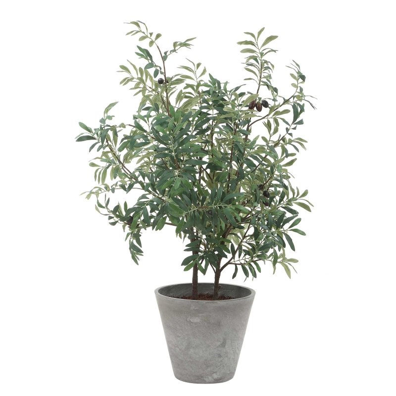 Marisol Potted Olive Plant - Artificial Flora