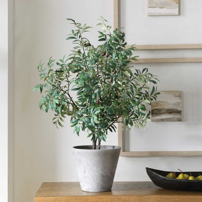 Marisol Potted Olive Plant - Artificial Flora