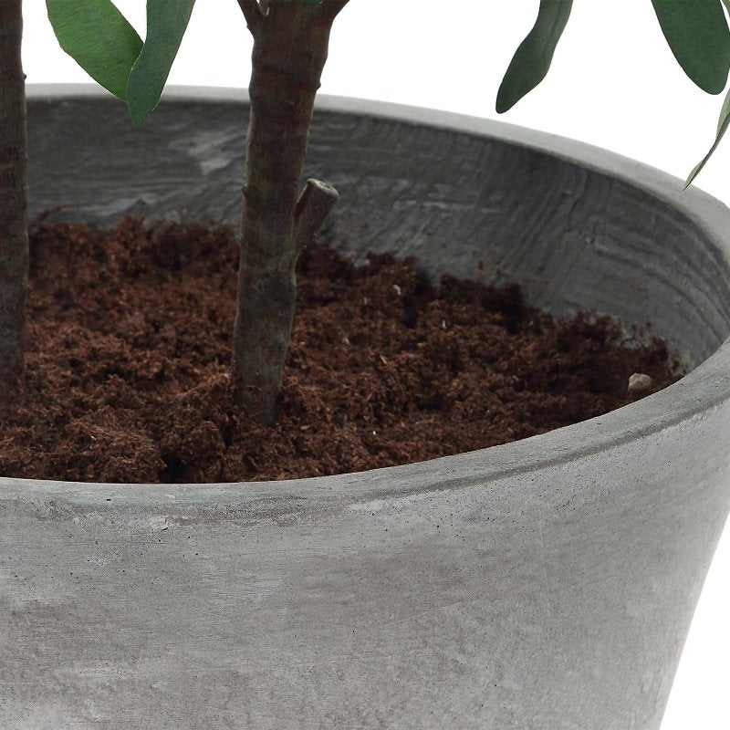 Marisol Potted Olive Plant - Artificial Flora