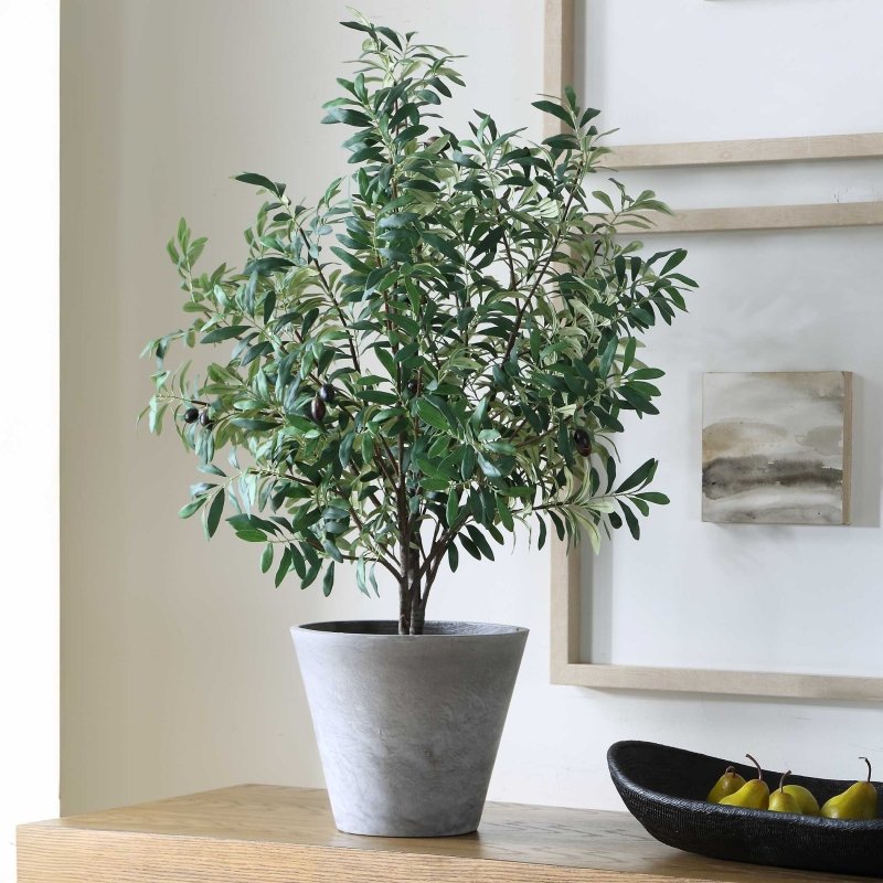 Marisol Potted Olive Plant - Artificial Flora