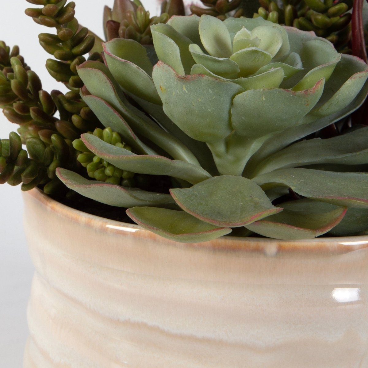 Mesa Succulent Accent - Uttermost - Artificial Flora by Modest Hut