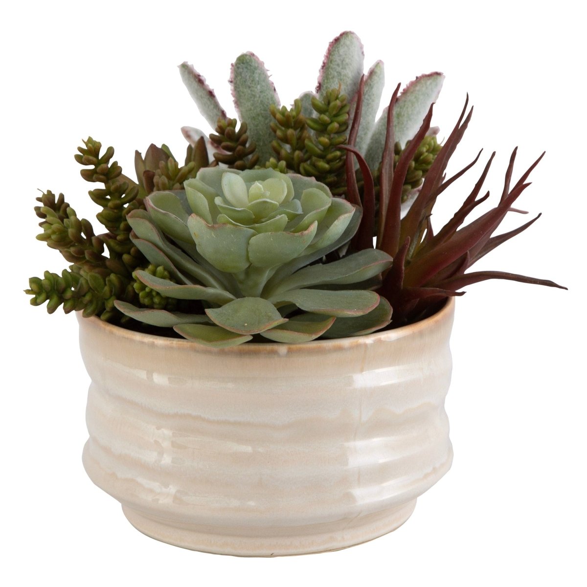 Mesa Succulent Accent - Uttermost - Artificial Flora by Modest Hut