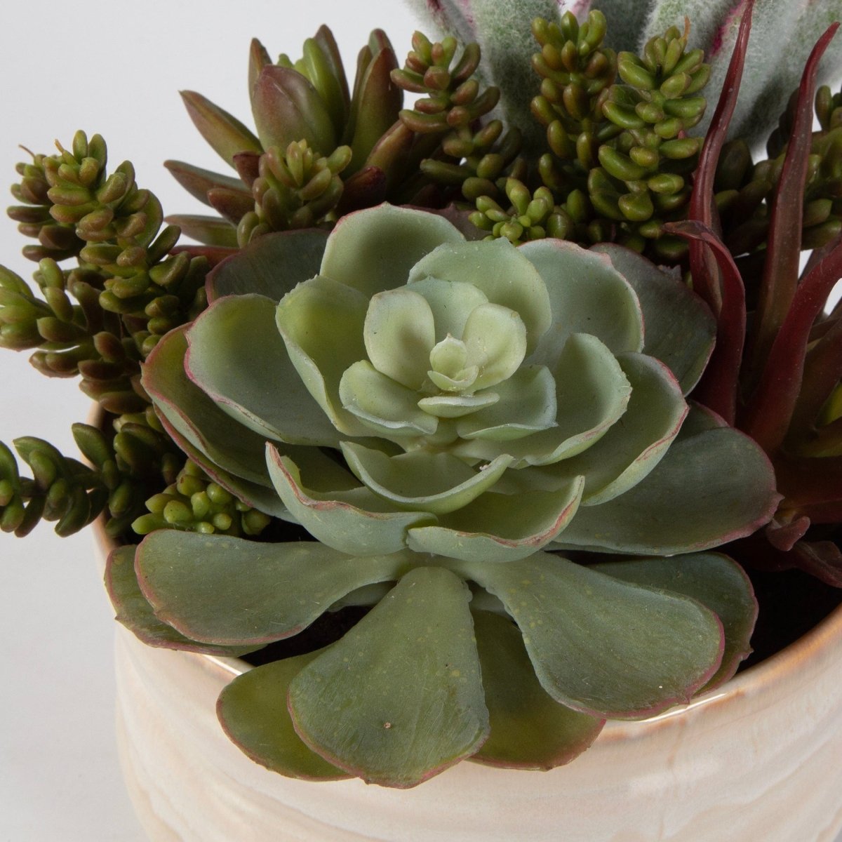 Mesa Succulent Accent - Uttermost - Artificial Flora by Modest Hut