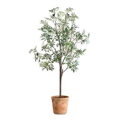 Olea Potted Olive Tree - Uttermost - Artificial Flora by Modest Hut