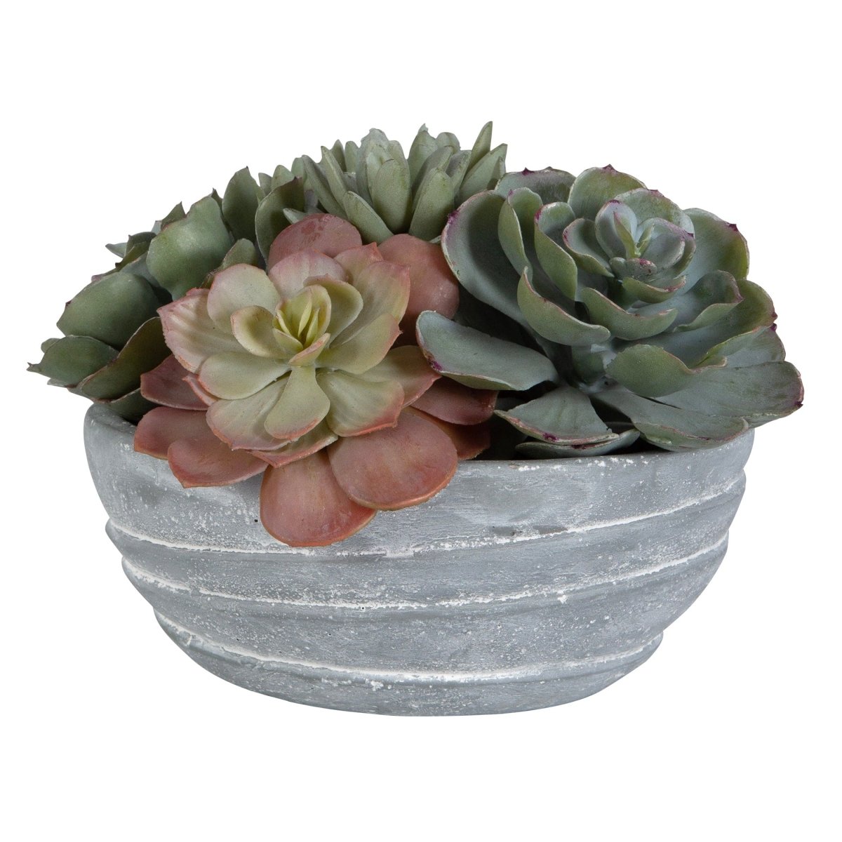 Peoria Succulent Accent - Uttermost - Artificial Flora by Modest Hut