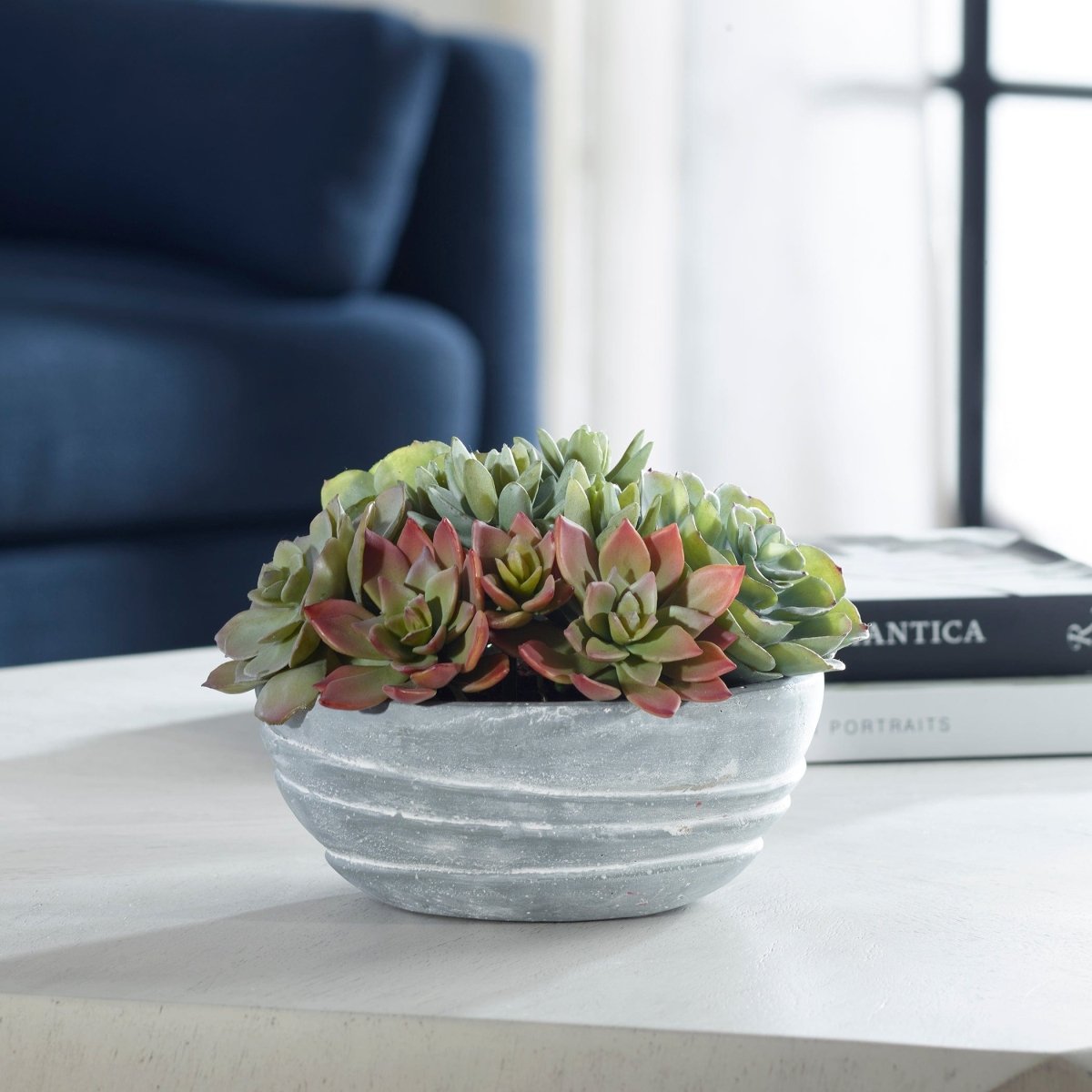 Peoria Succulent Accent - Uttermost - Artificial Flora by Modest Hut