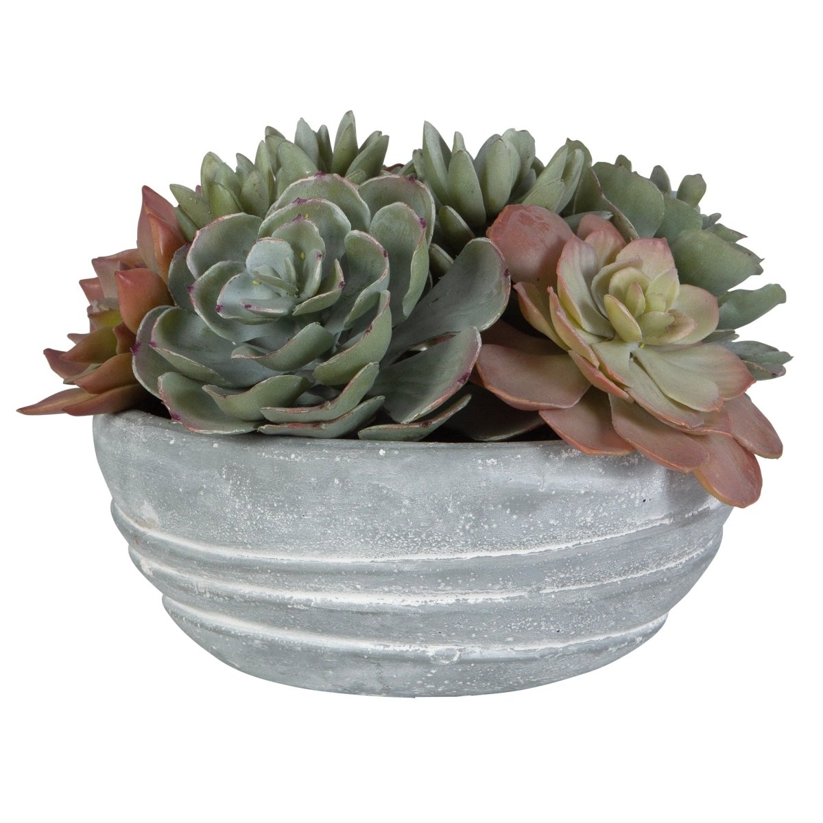 Peoria Succulent Accent - Uttermost - Artificial Flora by Modest Hut