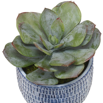 Puebla Greenery In Blue & White Pots, S/3 - Uttermost - Artificial Flora by Modest Hut