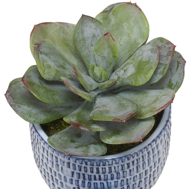 Puebla Greenery In Blue & White Pots, S/3 - Uttermost - Artificial Flora by Modest Hut