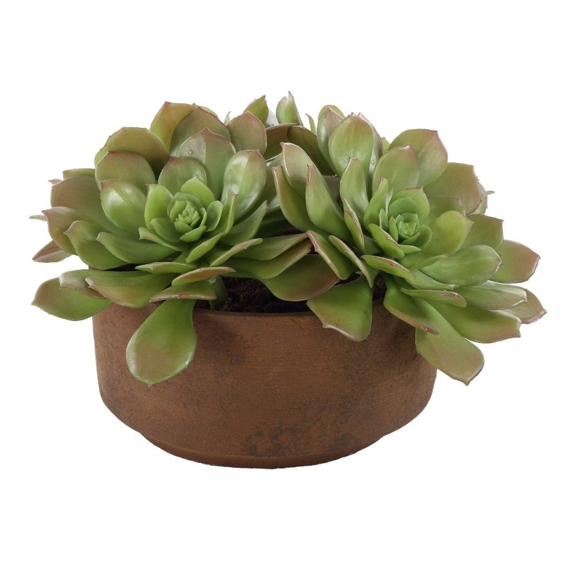 Sable Succulent Accent In Pot - Artificial Flora