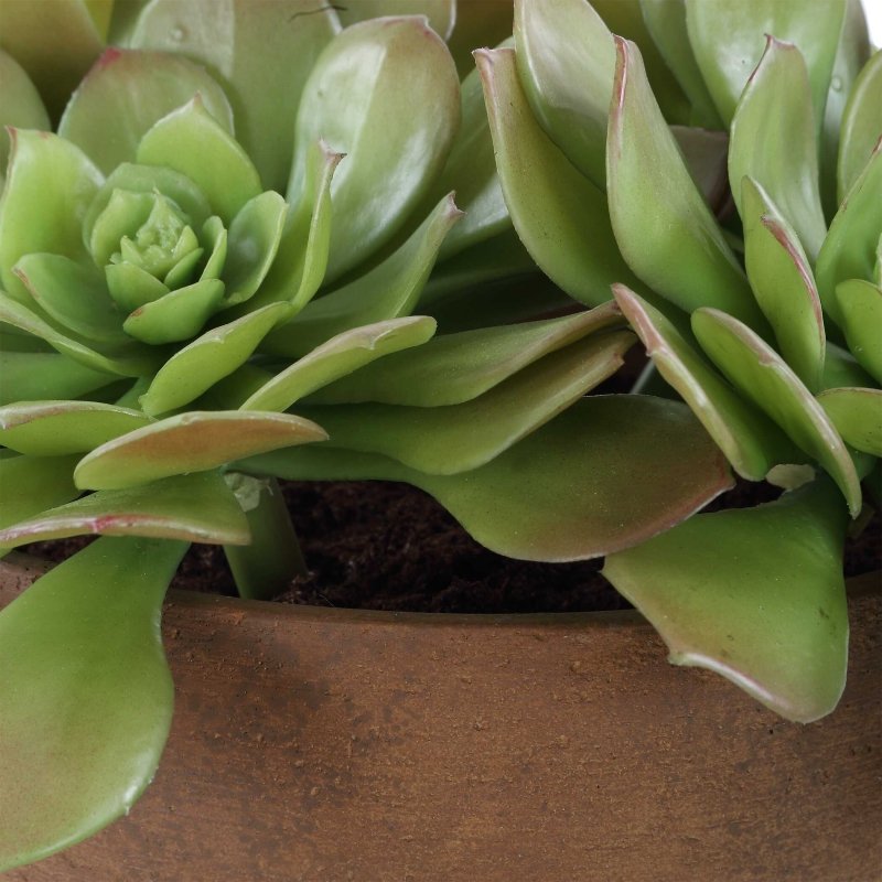 Sable Succulent Accent In Pot - Artificial Flora