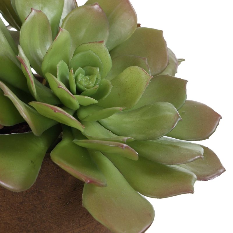 Sable Succulent Accent In Pot - Artificial Flora