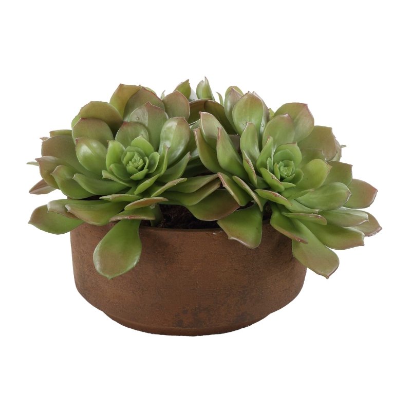 Sable Succulent Accent In Pot - Artificial Flora