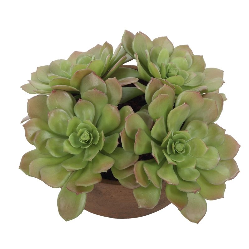 Sable Succulent Accent In Pot - Artificial Flora