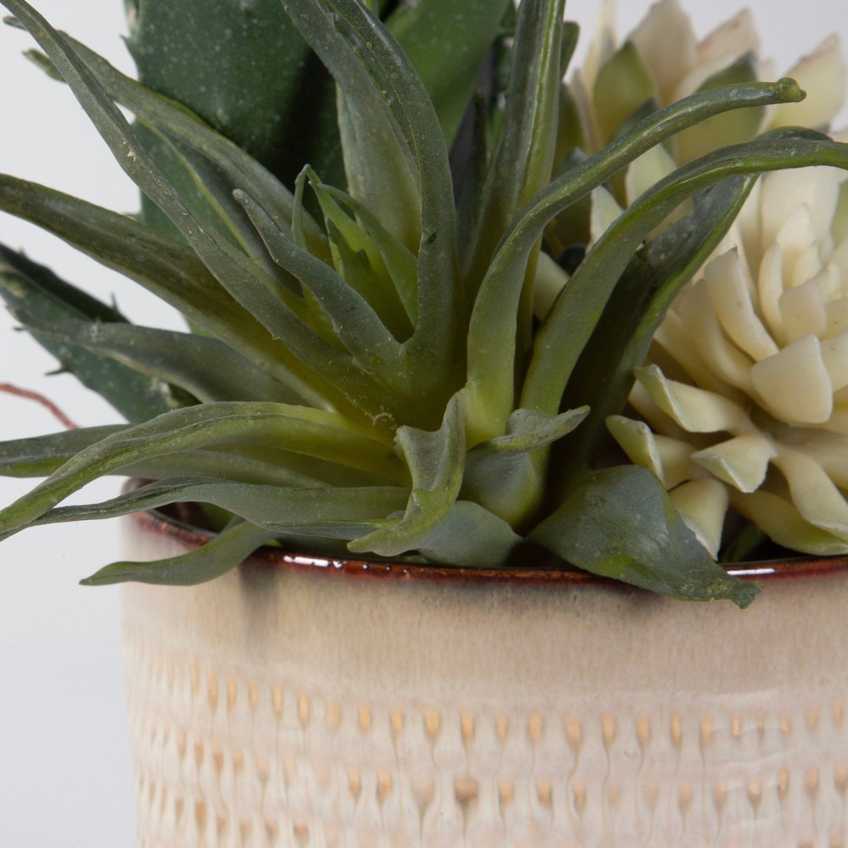 Seaside Succulents, Set/2 - Uttermost - Artificial Flora by Modest Hut